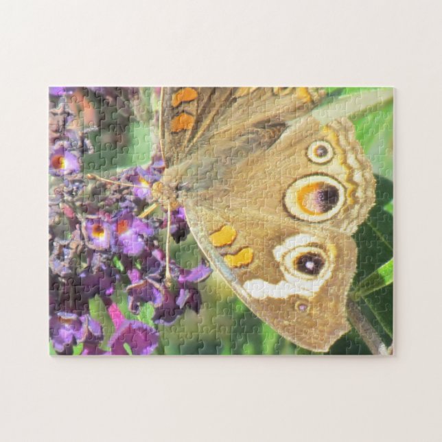Puzzle - Bouclier papillon (Horizontal)