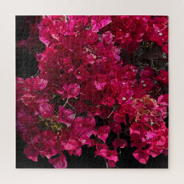 Puzzle Bougainvillea Arbuste de vinification Tropical Rou (Vertical)
