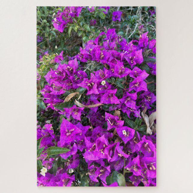Puzzle Bougainvillée pourpre, Oakland  (Vertical)