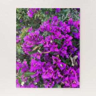 Puzzle Bougainvillée pourpre, Oakland