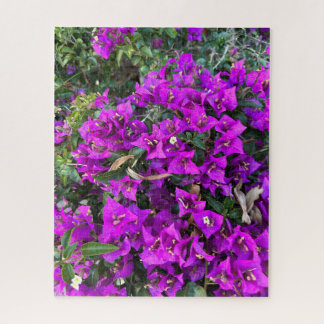 Puzzle Bougainvillée pourpre, Oakland