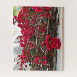 Puzzle Bougainvillée rouge, Burlingame