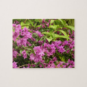 Puzzle Bougainvillées tropicales violettes