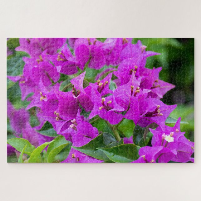 Puzzle Bougainvilliers botaniques colorés (Horizontal)