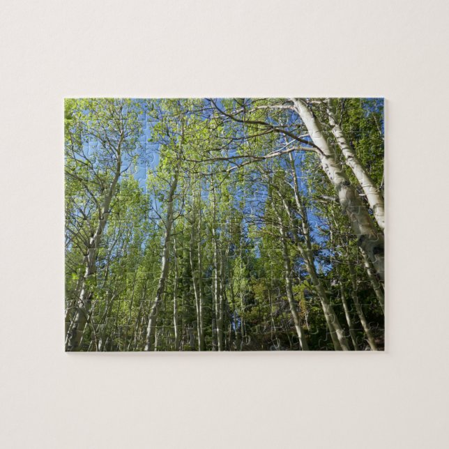 Puzzle Bouleaux d'été aux montagnes Rocheuses (Horizontal)