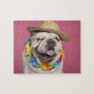 Puzzle Bouledogue anglais (18 mois) portant une paille