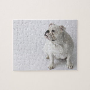 Puzzle Bouledogue anglais blanc