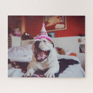 Puzzle Bouledogue britannique des images   de Getty