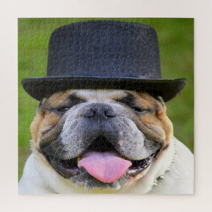 Puzzle Bouledogue en haut-de-forme