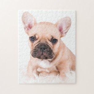 Puzzle Bouledogue français