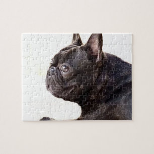 Puzzle Bouledogue français