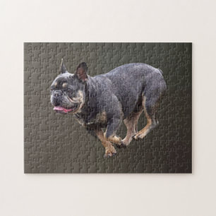 Puzzle Bouledogue français en course