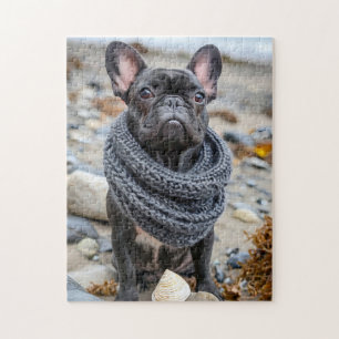 Puzzle Bouledogue français en tenue tricotée pour chien