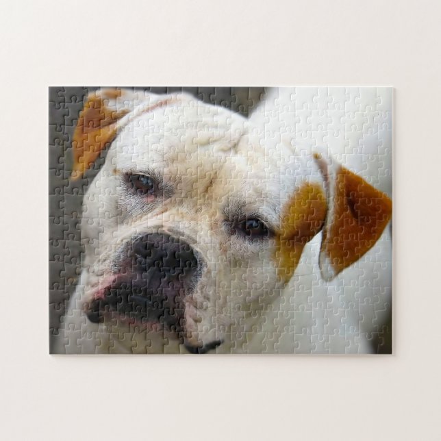 Puzzle Bouledogue Pedigree. (Horizontal)