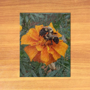 Puzzle Bourdons sur une fleur de Tagète