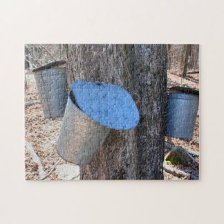 Puzzle Bouts De Sucre D'Érable Sur Arbre Nature