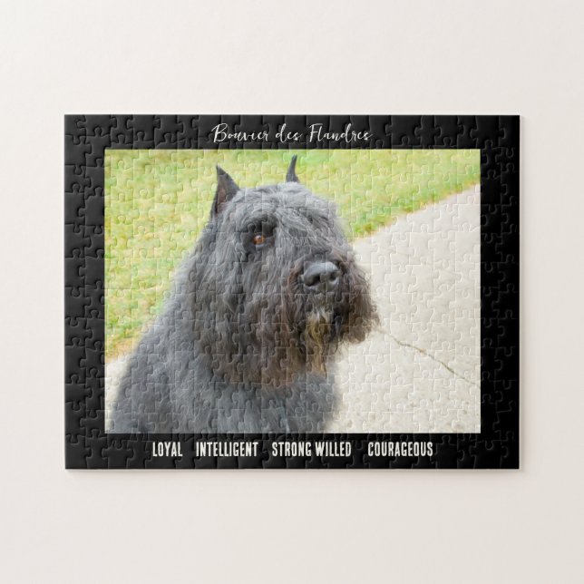 Puzzle Bouvier des Flandres Photo Chien race (Horizontal)