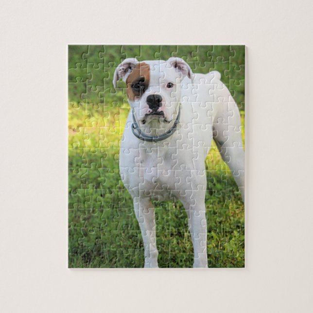 Puzzle Boxer (Vertical)