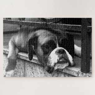 Puzzle Boxer Dog On Windowsill 20x30 1014pc jpcn