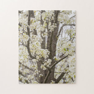 Puzzle Bradford Pear Tree White Spring Floral Nature