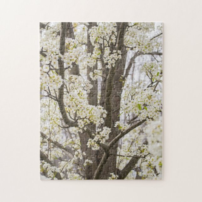 Puzzle Bradford Pear Tree White Spring Floral Nature (Vertical)