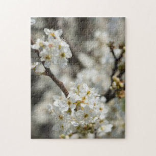 Puzzle Bradford Select Focus