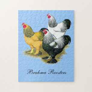 Puzzle Brahmas Three Roosters