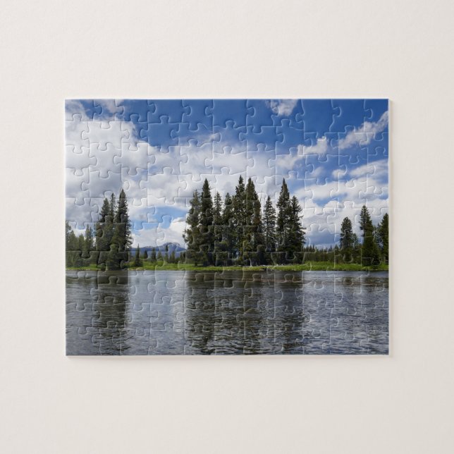 Puzzle Branche de Henry dans la forêt nationale de Targhe (Horizontal)