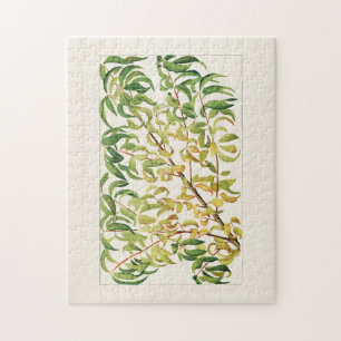 Puzzle Branche de la pêche (Prunus Persica)