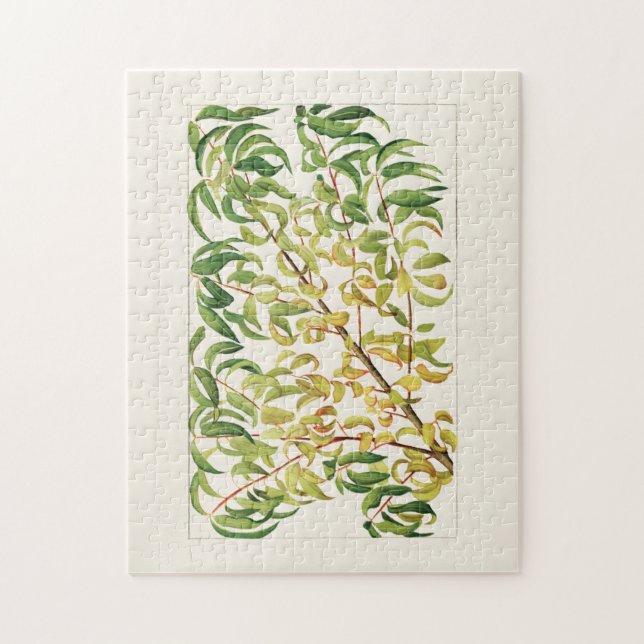 Puzzle Branche de la pêche (Prunus Persica) (Vertical)