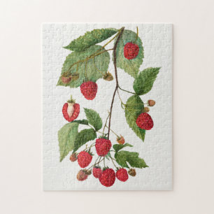 Puzzle Branche de la peinture à l'aquarelle des fruits de