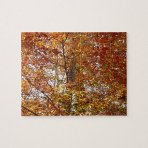 Puzzle Branches de feuilles orange Nature automnale