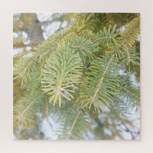 Puzzle Branches d'épinette dans la neige. Commandez dès m