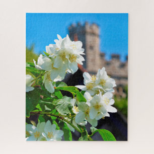 Puzzle Bright Blooms of Summer à Londres - 16x20 - 520 pc