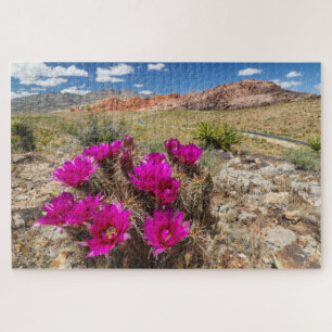 Puzzle Bright pink cactus flowers in Red Rock Canyon, Nv