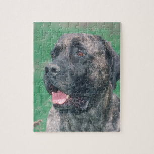 Puzzle Brindle de chien de Masstiff
