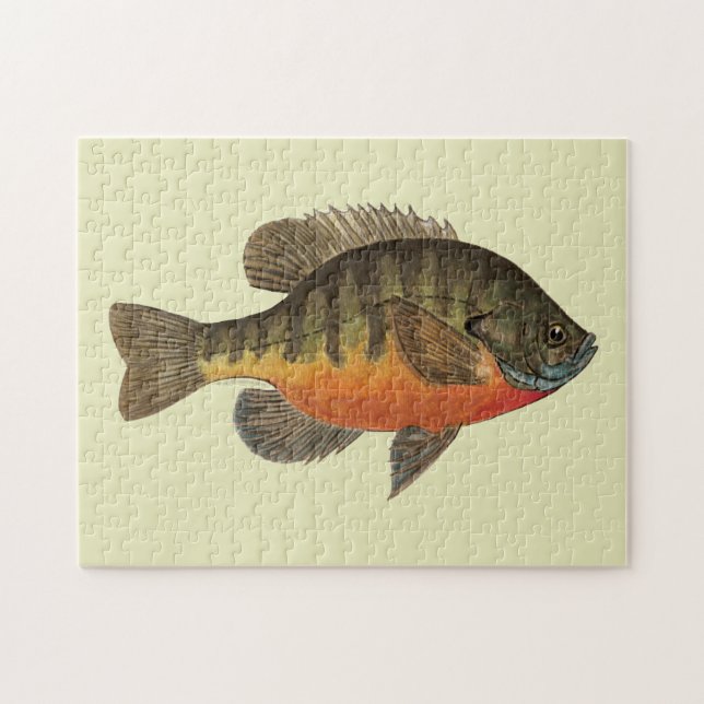 Puzzle Brise de Bluegill (Horizontal)