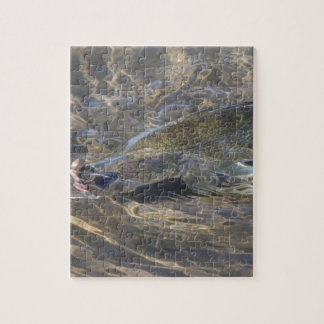 Puzzle Brochets vairons attrapés