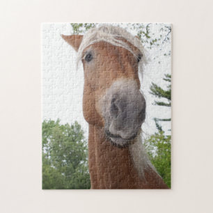 Puzzle Brouillon belge Cheval Silencieux Visage Animal