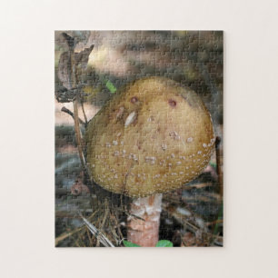 Puzzle Brown Bois Champignons Nature