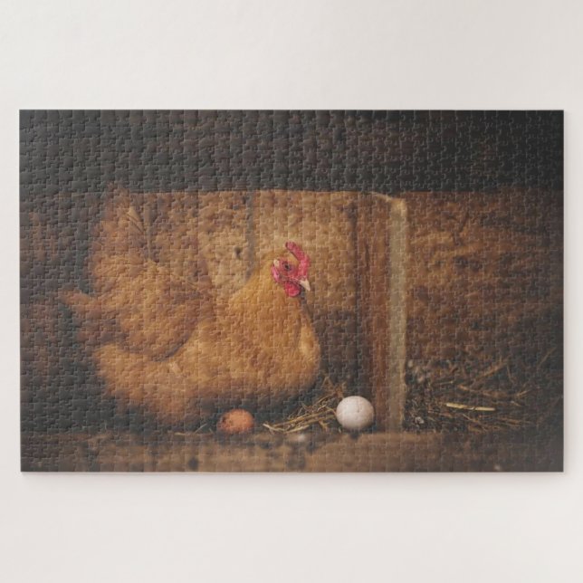 Puzzle Brown chicken laying eggs (Horizontal)