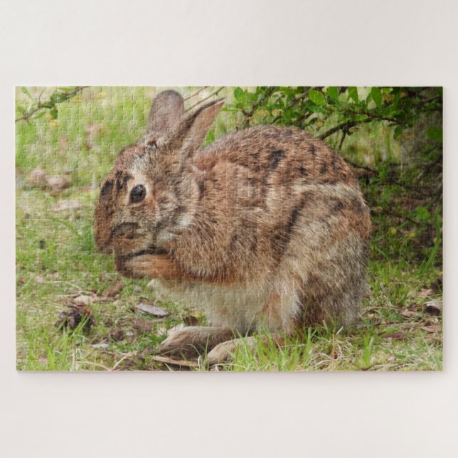Puzzle Brown Fluffy sauvage Lapin lapin prier (Horizontal)