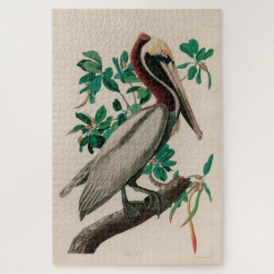 Puzzle Brown Pelican Birds of America Audubon Imprimer