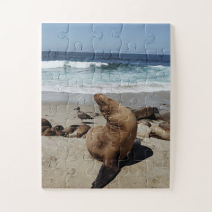 Puzzle Brown Sea Lion on a Beach