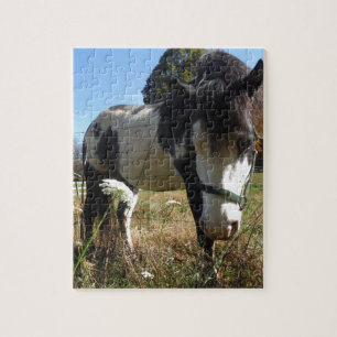 Puzzle Brown & White, Painted Horse, Queen Ann Lace flowe