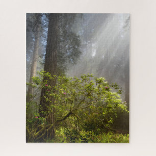 Puzzle Brume matinale sur Rhododendron