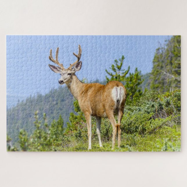 Puzzle Buck (Horizontal)