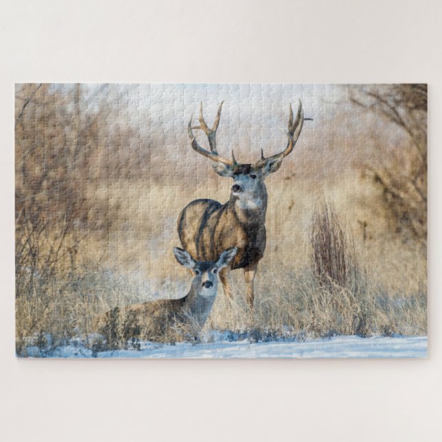 Puzzle Buck Couple | Mule Deer (Horizontal)