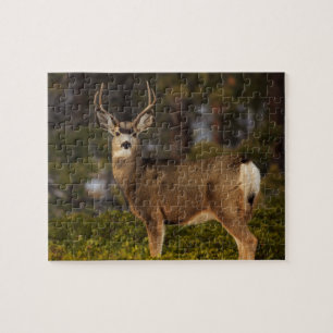 Puzzle Buck de Forest Deer