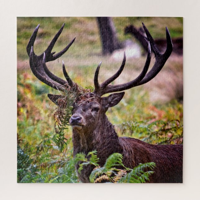 Puzzle Buck in Richmond Park - 20x20 - 676 pièces (Vertical)
